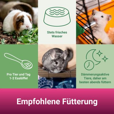 PANTO Chinchillafutter – Pelletfutter mit Luzerne & Omega-3 für Chinchilla