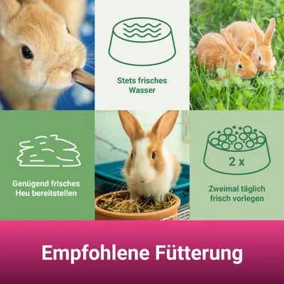 PANTO Zwergkaninchenfutter – bunte Mischung mit Möhren PANTO Zwergkaninchenfutter – bunte Mischung mit Möhren