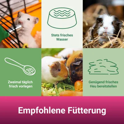PANTO Nager-Krokant-Müsli – Nagerfutter mit Möhre, Kürbiskernen und Luzerne PANTO Nager-Krokant-Müsli – Nagerfutter mit Möhre, Kürbiskernen und Luzerne