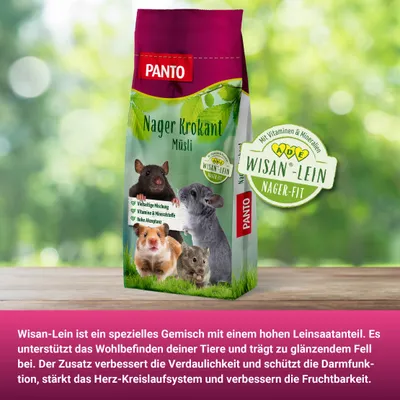 PANTO Nager-Krokant-Müsli – Nagerfutter mit Möhre, Kürbiskernen und Luzerne PANTO Nager-Krokant-Müsli – Nagerfutter mit Möhre, Kürbiskernen und Luzerne