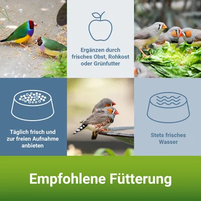 PANTO Exotenfutter - ausgewogene Vielfalt, Körnerfutter für Exoten PANTO Exotenfutter - ausgewogene Vielfalt, Körnerfutter für Exoten