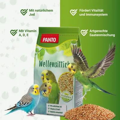 PANTO Wellensittichfutter - ausgewogene Saatenmischung für Wellensittiche PANTO Wellensittichfutter - ausgewogene Saatenmischung für Wellensittiche