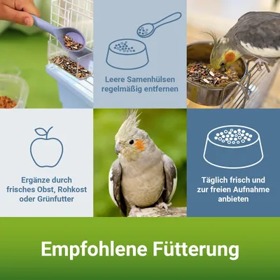 PANTO Großsittichfutter Spezial - ohne Sonnenblumenkerne mit Hirse