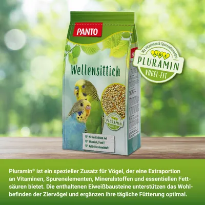 PANTO Wellensittichfutter - ausgewogene Saatenmischung für Wellensittiche PANTO Wellensittichfutter - ausgewogene Saatenmischung für Wellensittiche