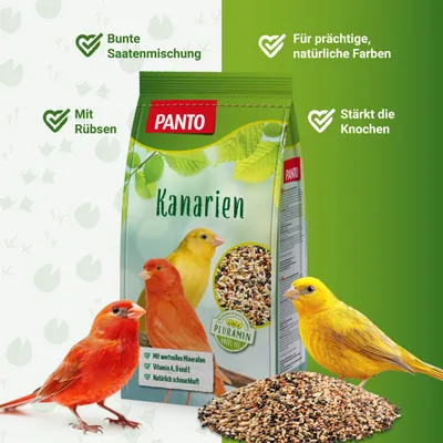 PANTO Kanarienfutter - feine Körnermischung mit Hirse und Saaten