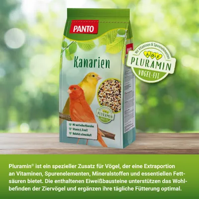 PANTO Kanarienfutter - feine Körnermischung mit Hirse und Saaten