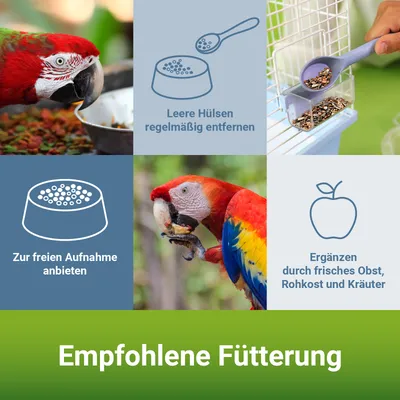 PANTO Papageienfutter - Futter für Papageien mit Nüssen & Kernen PANTO Papageienfutter - Futter für Papageien mit Nüssen & Kernen