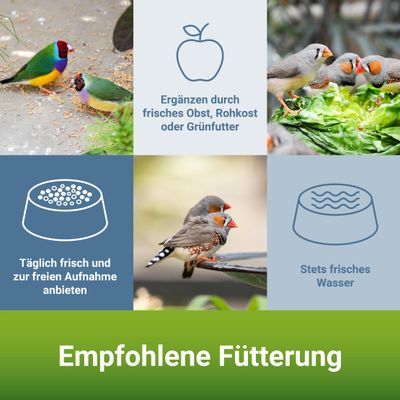 PANTO Exotenfutter - ausgewogene Vielfalt, Körnerfutter für Exoten