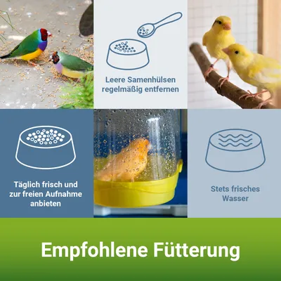 PANTO Kanarienfutter Spezial - feine Saaten für Kanarien ohne Rübsen