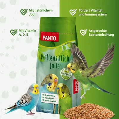 PANTO Wellensittichfutter - ausgewogene Saatenmischung für Wellensittiche PANTO Wellensittichfutter - ausgewogene Saatenmischung für Wellensittiche