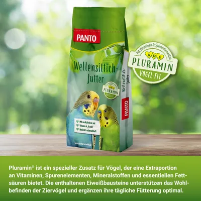PANTO Wellensittichfutter - ausgewogene Saatenmischung für Wellensittiche PANTO Wellensittichfutter - ausgewogene Saatenmischung für Wellensittiche