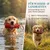 HUND IST KÖNIG Futterdummy für Hunde, Apportierbeutel Dummy Hundetraining