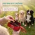 HUND IST KÖNIG Futterdummy für Hunde, Apportierbeutel Dummy Hundetraining