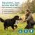 HUND IST KÖNIG Futterdummy für Hunde, Apportierbeutel Dummy Hundetraining