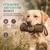 HUND IST KÖNIG Futterdummy für Hunde, Apportierbeutel Dummy Hundetraining