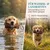 HUND IST KÖNIG Futterdummy für Hunde, Apportierbeutel Dummy Hundetraining