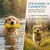 HUND IST KÖNIG Futterdummy für Hunde, Apportierbeutel Dummy Hundetraining