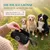 HUND IST KÖNIG Futterdummy für Hunde, Apportierbeutel Dummy Hundetraining