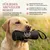HUND IST KÖNIG Futterdummy für Hunde, Apportierbeutel Dummy Hundetraining