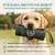 HUND IST KÖNIG Futterdummy für Hunde, Apportierbeutel Dummy Hundetraining