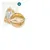 Haustierkost Frostfutter Paket Hund Purinarm Haustierkost Frostfutter Paket Hund Purinarm