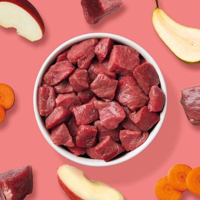 Haustierkost BARF Komfort PLUS Rind - Hunde Frostfutter