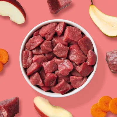 Haustierkost BARF Komfort PLUS Rind - Hunde Frostfutter Haustierkost BARF Komfort PLUS Rind - Hunde Frostfutter