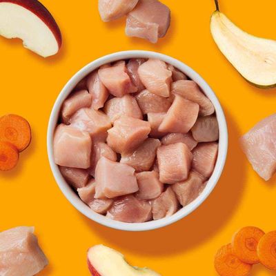 Haustierkost BARF Komfort PLUS Huhn - Hunde Barffutter gefroren