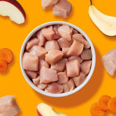 Haustierkost BARF Komfort PLUS Huhn - Hunde Barffutter gefroren