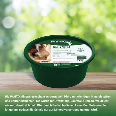 PANTO Mineralleckschale Basis Vital – für Pferde auf Weide & im Stall