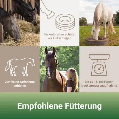 PANTO Mineralleckschale Basis Vital – für Pferde auf Weide & im Stall