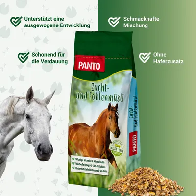 PANTO Zucht- & Fohlenmüsli – Für Zuchtstuten, Jungpferde & Fohlen