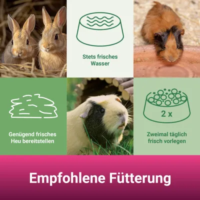 PANTO Trockengemüse - getrocknete Gemüsevielfalt für Nager & Kaninchen