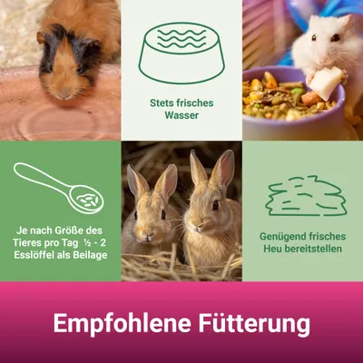 PANTO Nager-Crispy Premium Plus – Nagerfutter mit Früchten und Gemüse