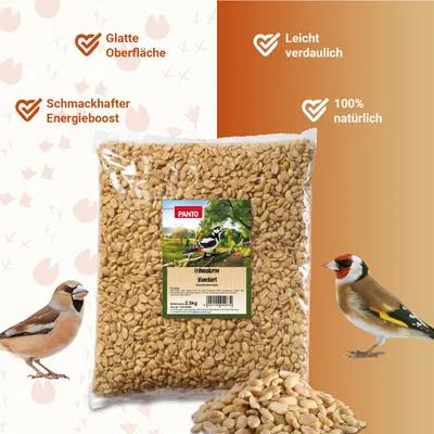 PANTO Erdnusskerne blanchiert für Wildvögel PANTO Erdnusskerne blanchiert für Wildvögel