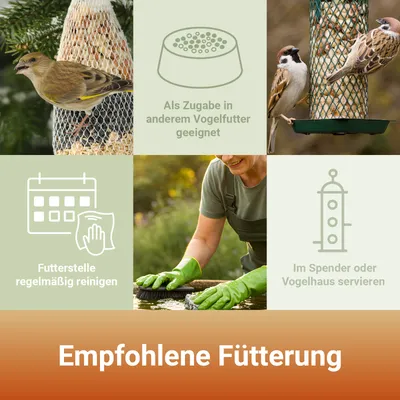 PANTO Erdnusskerne blanchiert für Wildvögel PANTO Erdnusskerne blanchiert für Wildvögel