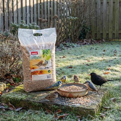 PANTO Fettfutter - Wildvogelfutter mit Sonnenblumenkernen & Erdnüssen