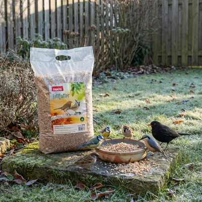 PANTO Fettfutter - Wildvogelfutter mit Sonnenblumenkernen & Erdnüssen