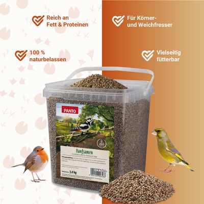 PANTO Hanfsamen - Wildvogelfutter für Gartenvögel, Natürliche Proteinquelle