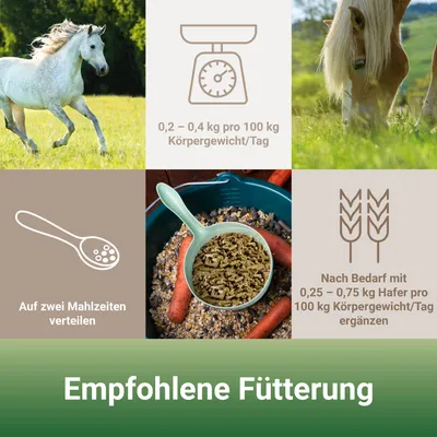 PANTO Formel E – Pferdefutter für Sport- und Leistungspferde