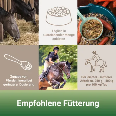 PANTO Aktiv-Müsli – struktur- & energiereiches Pferdefutter