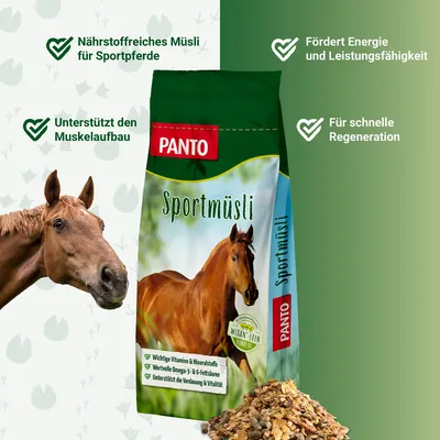 PANTO Sportmüsli mit Wisan-Lein – Pferdemüsli für aktive Pferde