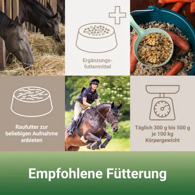 PANTO Sportmüsli mit Wisan-Lein – Pferdemüsli für aktive Pferde
