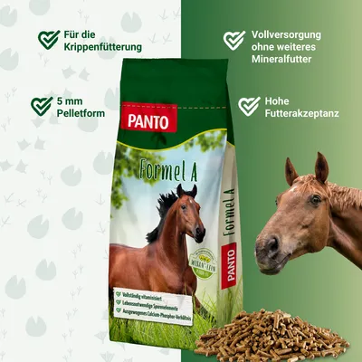 PANTO Formel A – energiereiches Pferdefutter für Leistung & Balance