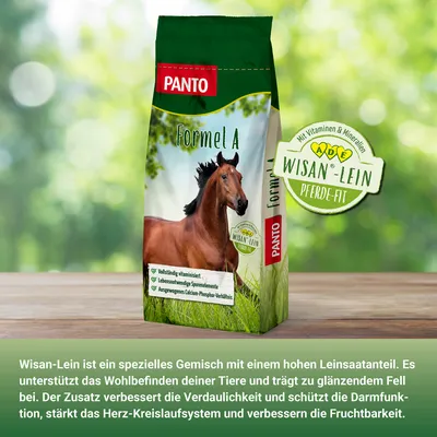 PANTO Formel A – energiereiches Pferdefutter für Leistung & Balance
