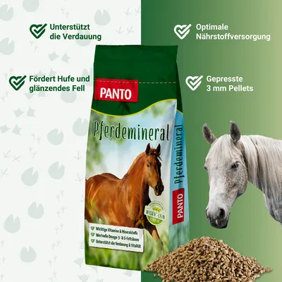 PANTO Pferdemineral – Rundumversorgung mit Mineralstoffen für Pferde