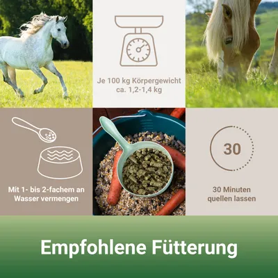 PANTO Heucobs – Pferdefutter 100 % Wiesenheu in gepresster Form