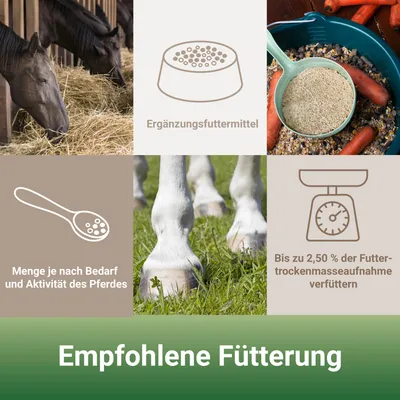 PANTO Mineral P85 – Pferdefutter - Mineralfutter für Zucht & Sport