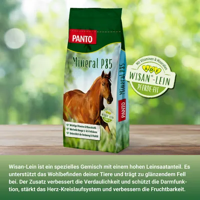 PANTO Mineral P85 – Pferdefutter - Mineralfutter für Zucht & Sport