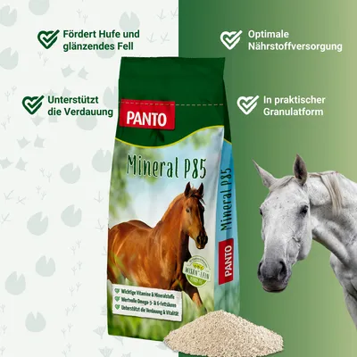 PANTO Mineral P85 – Pferdefutter - Mineralfutter für Zucht & Sport